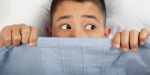 BANNER PARA BLOG 4